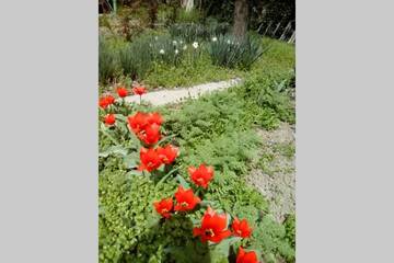 Фотографии Дома для отпуска Cozy private house with garden in a big center of Yerevan г. Ереван (Армения) №4 Фото Дома для отпуска Cozy private house with garden in a big center of Yerevan г. Ереван 4