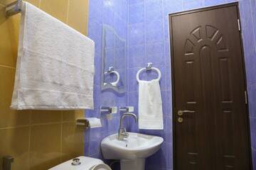 Фото номера Двухместный номер с 1 кроватью и собственной ванной комнатой Отель Lovely Hotel in Centre г. Ереван 4