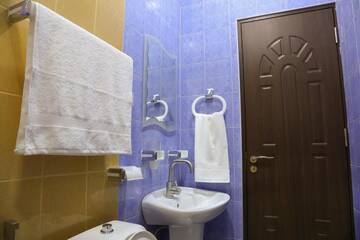Фото номера Двухместный номер с 1 кроватью и собственной ванной комнатой Отель Lovely Hotel in Centre г. Ереван 10