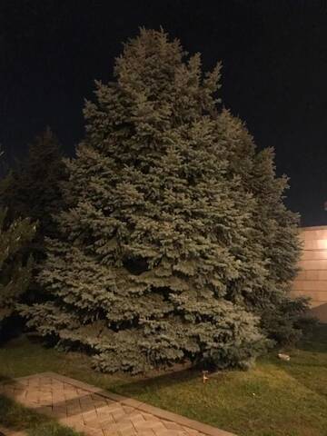 Фото номера Вилла Виллы A Royal Luxury Villa With The Best View in Yerevan г. Ереван 68
