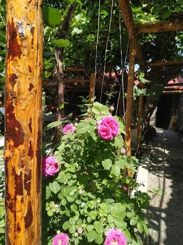 Фото номера Дом с 2 спальнями Гостевой дом Nors Guest House г. Ереван 22