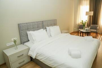 Фото номера Двухместный номер с 1 кроватью Отель Teryan Pushkin Apart Hotel г. Ереван 4