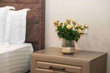 Фото номера Двухместный номер с 1 кроватью Отель Teryan Pushkin Apart Hotel г. Ереван 13