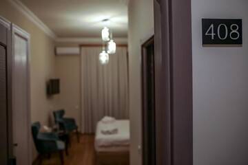 Фото номера Двухместный номер с 1 кроватью Отель Teryan Pushkin Apart Hotel г. Ереван 15