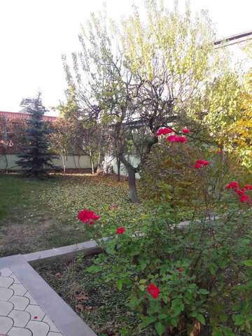 Фото номера Вилла Виллы Luxury Villa With Nice Patio and Swimming Pool г. Ереван 22