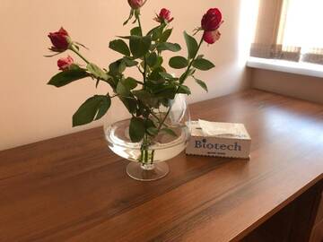 Фото номера Бюджетный двухместный номер с 2 отдельными кроватями Отель Biotech Guest Room г. Ереван 16