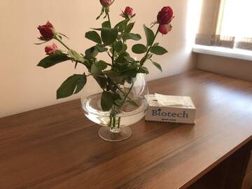 Фото номера Бюджетный двухместный номер с 2 отдельными кроватями Отель Biotech Guest Room г. Ереван 3