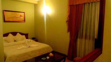 Фото номера Бюджетный двухместный номер с 1 кроватью Отель Park Avenue Hotel Yerevan г. Ереван 3