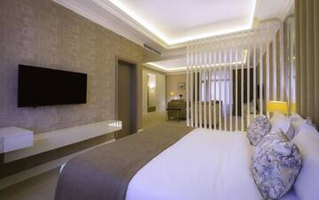 Фото номера Люкс «Гора Арарат» Отель Paris Hotel Yerevan г. Ереван 4