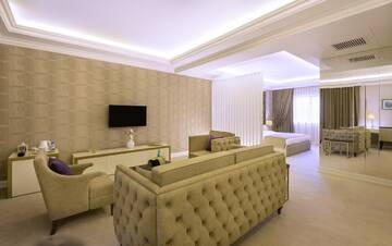 Фото номера Люкс «Гора Арарат» Отель Paris Hotel Yerevan г. Ереван 3
