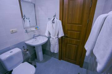 Фото номера Улучшенный двухместный номер с 2 отдельными кроватями Отель Ani Central Inn г. Ереван 5