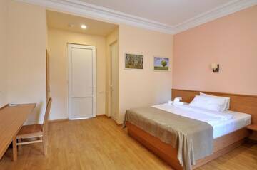 Фото номера Двухместный номер Делюкс с 1 кроватью Отель Albert House Hotel and Tours г. Ереван 9