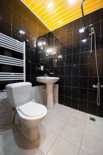 Фото номера Апартаменты Делюкс Отель No Problem Hotel at Glinka Street г. Ереван 16