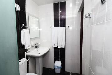 Фото номера Роскошный трехместный номер Отель Hotel Tigran Mets Yerevan г. Ереван 17