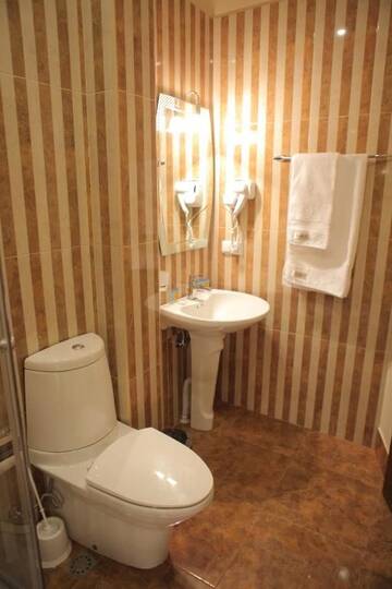 Фото номера Трехместный номер Делюкс Отель Daniel Boutique Hotel г. Ереван 21
