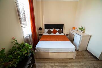 Фото номера Двухместный номер Делюкс с 1 кроватью Отель Alex Hotel г. Ереван 15
