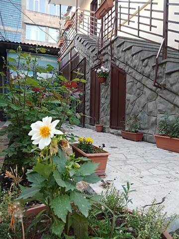 Фото номера Улучшенный двухместный номер с 2 отдельными кроватями Отель Armenia Guest House in Komitas г. Ереван 16